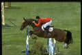 378031 Showjumping A4 Photo Print