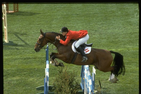 378031 Showjumping A4 Photo Print