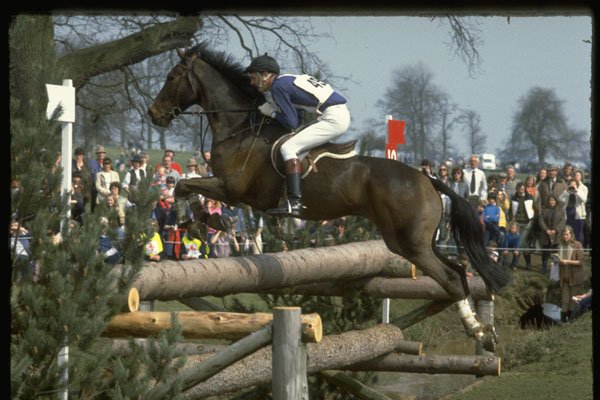 378032 Badminton, 1983 A4 Photo Print