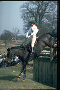 378033 Badminton, 1984 A4 Photo Print