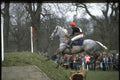 378035 Badminton, 1986 A4 Photo Print