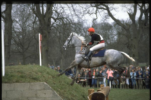 378035 Badminton, 1986 A4 Photo Print