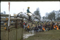 378037 Badminton, 1986 A4 Photo Print