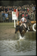 378038 Badminton, 1986 A4 Photo Print