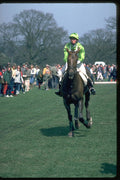 378039 Badminton, 1984 A4 Photo Print