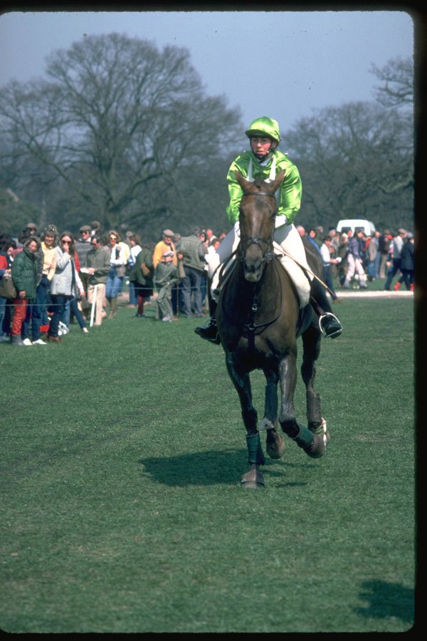 378039 Badminton, 1984 A4 Photo Print