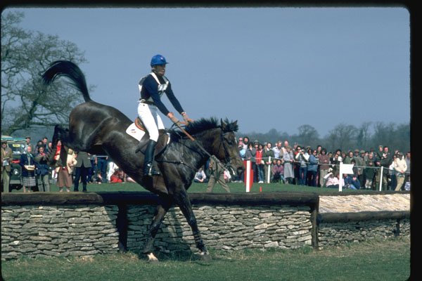 378041 Badminton, 1984 A4 Photo Print