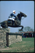 378042 Badminton, 1984 A4 Photo Print