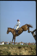 378043 Badminton, 1983 A4 Photo Print