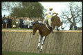 378044 Badminton, 1985 A4 Photo Print