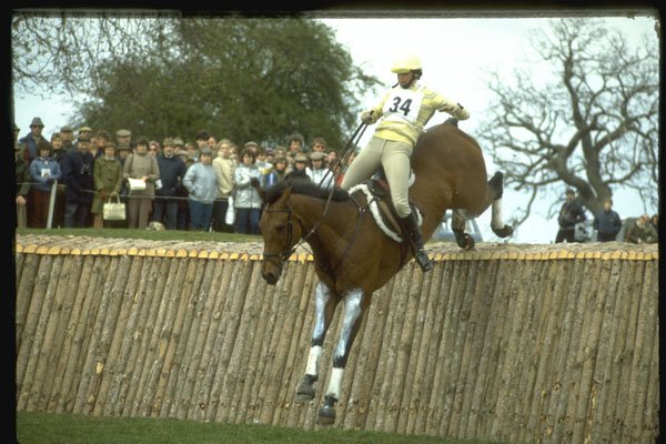 378044 Badminton, 1985 A4 Photo Print