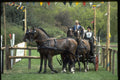 378047 Royal Windsor Horse Show, Driving Marathon A4 Photo Print