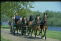 378048 Royal Windsor Horse Show, Driving Marathon, Carriage Driving A4 Photo Print