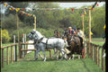 378050 Royal Windsor Horse Show, Driving Marathon A4 Photo Print