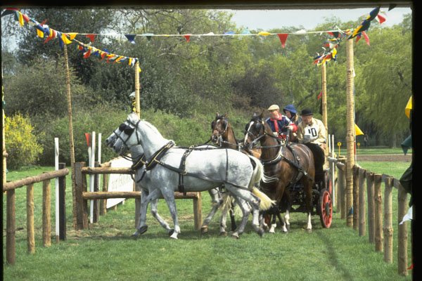 378050 Royal Windsor Horse Show, Driving Marathon A4 Photo Print
