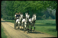 378051 Royal Windsor Horse Show, Driving Marathon A4 Photo Print