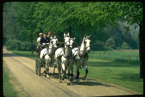 378051 Royal Windsor Horse Show, Driving Marathon A4 Photo Print