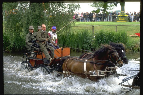 378052 Royal Windsor Horse Show, Driving Marathon A4 Photo Print
