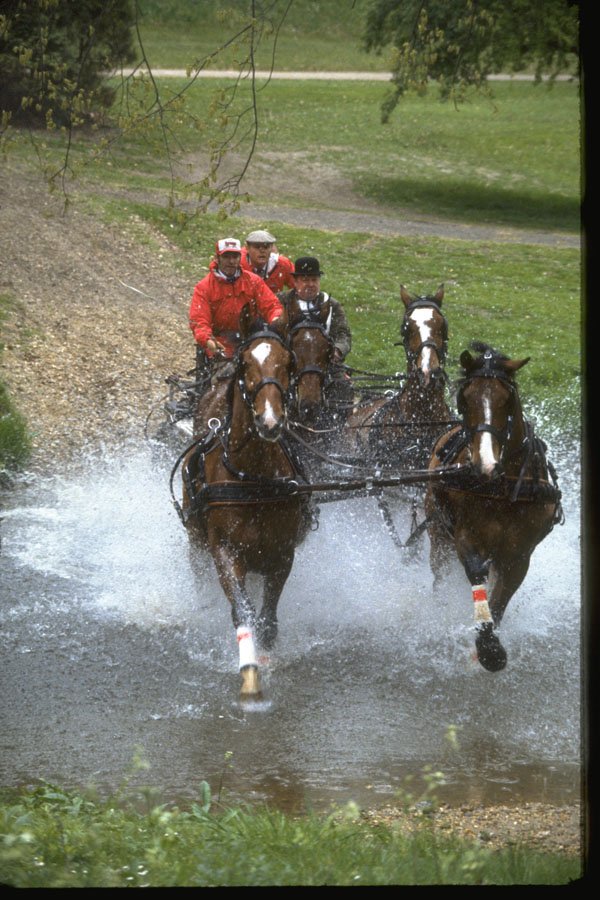 378053 Royal Windsor Horse Show, Driving Marathon A4 Photo Print