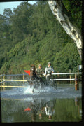 378054 Royal Windsor Horse Show, Driving Marathon A4 Photo Print