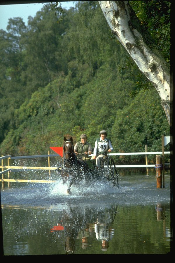 378054 Royal Windsor Horse Show, Driving Marathon A4 Photo Print