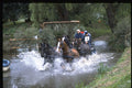 378055 Royal Windsor Horse Show, Driving Marathon A4 Photo Print
