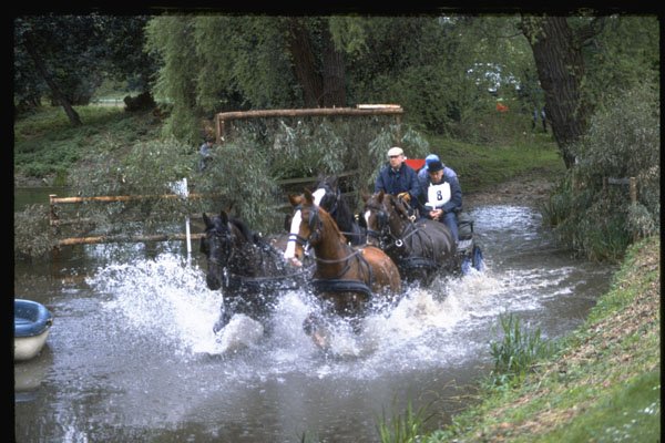378055 Royal Windsor Horse Show, Driving Marathon A4 Photo Print