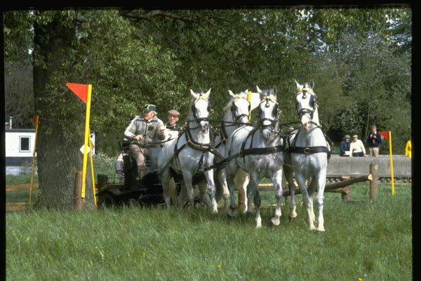 378056 Royal Windsor Horse Show, Driving Marathon A4 Photo Print