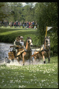 378057 Royal Windsor Horse Show, Driving Marathon A4 Photo Print