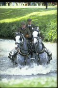 378059 Royal Windsor Horse Show, Driving Marathon A4 Photo Print