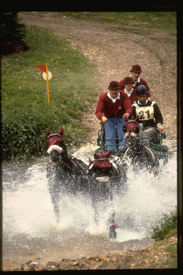 378060 Royal Windsor Horse Show, Driving Marathon A4 Photo Print