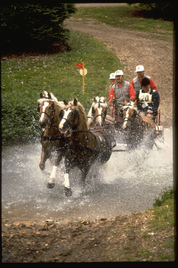 378061 Royal Windsor Horse Show, Driving Marathon A4 Photo Print