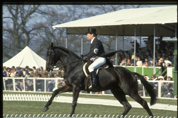 378062 Badminton, 1984 A4 Photo Print