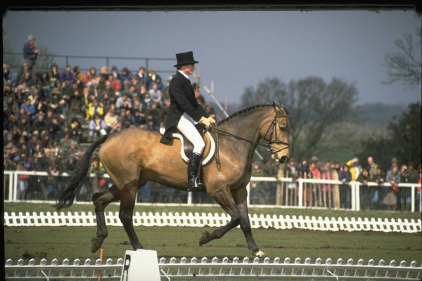 378063 Badminton, 1986 A4 Photo Print