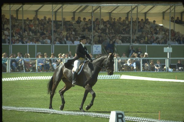 378064 Badminton, 1985 A4 Photo Print