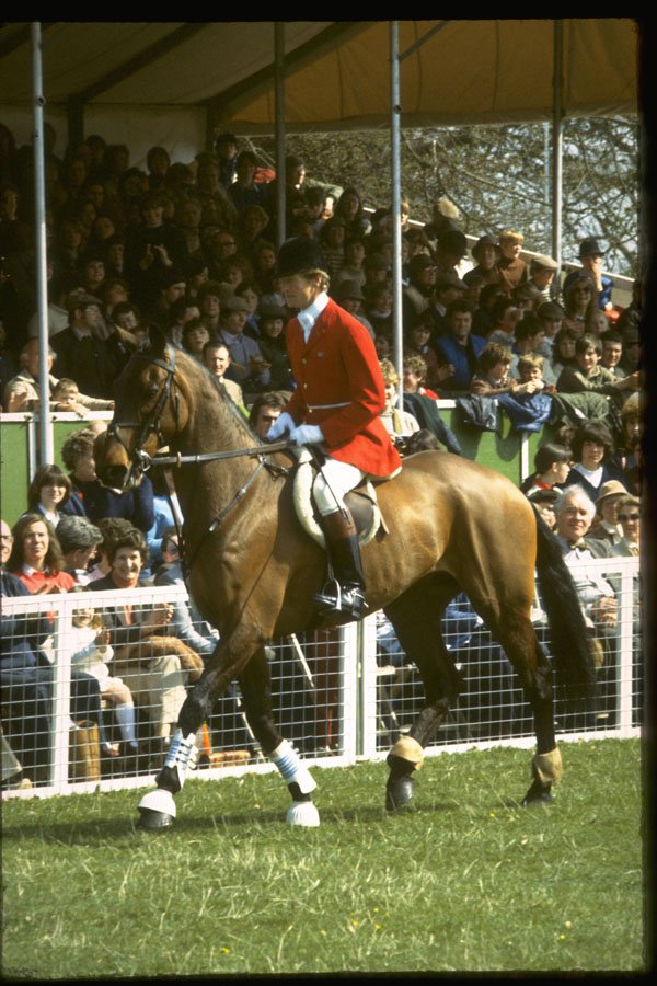 378065 Badminton, 1982 A4 Photo Print