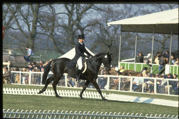 378067 Badminton, 1984 A4 Photo Print