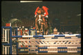 378068 Horse Of The Year Show, 1989 A4 Photo Print