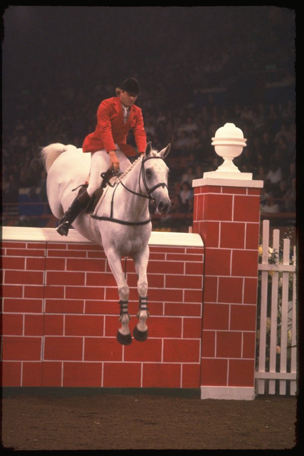 378069 Horse Of The Year Show, 1984 A4 Photo Print