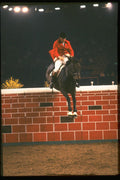 378070 Horse Of The Year Show, 1990 A4 Photo Print