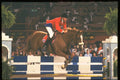378071 Horse Of The Year Show, 1989 A4 Photo Print