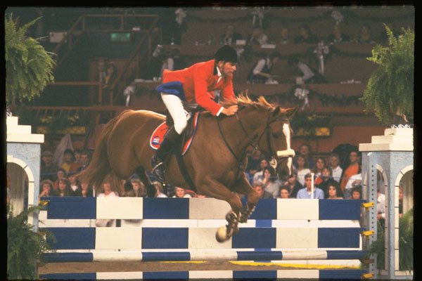 378071 Horse Of The Year Show, 1989 A4 Photo Print