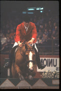 378072 Horse Of The Year Show, 1982 A4 Photo Print