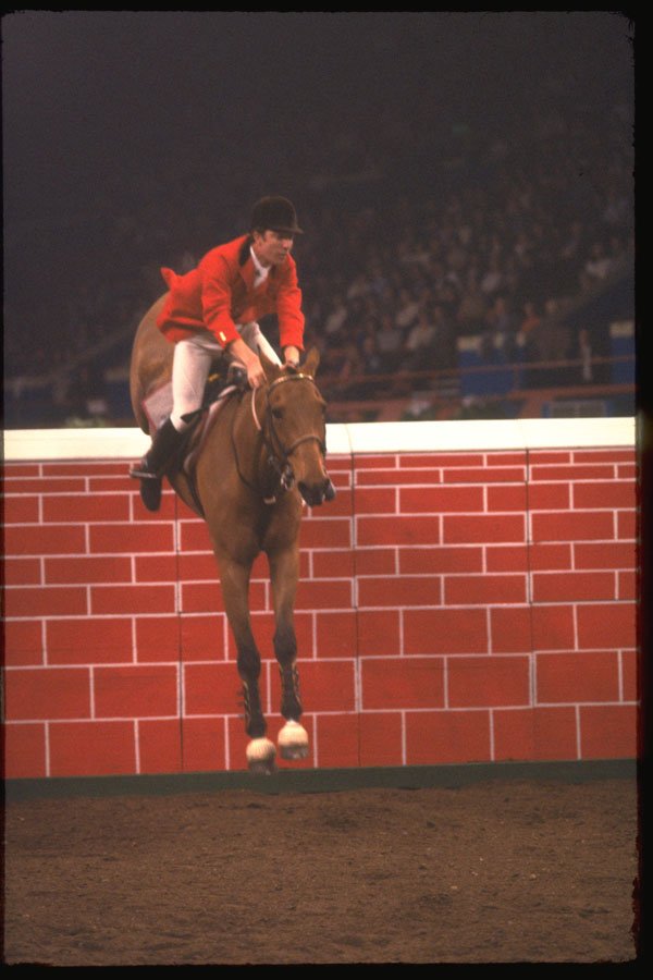 378073 Horse Of The Year Show, 1984 A4 Photo Print