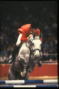 378076 Horse Of The Year Show, 1991 A4 Photo Print