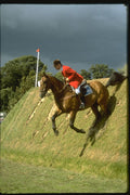 378084 Hickstead Derby, 1985 A4 Photo Print