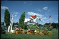 378085 G.L.C. Horse Show, 1982 A4 Photo Print