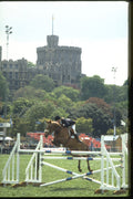 378089 Royal Windsor Horse Show, 1984 A4 Photo Print