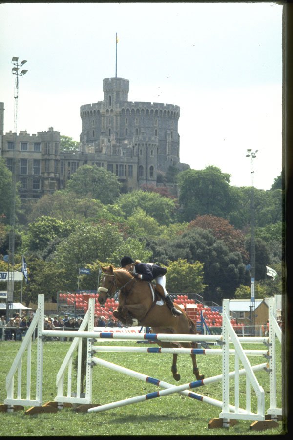 378089 Royal Windsor Horse Show, 1984 A4 Photo Print