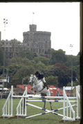 378090 Royal Windsor Horse Show, 1984 A4 Photo Print